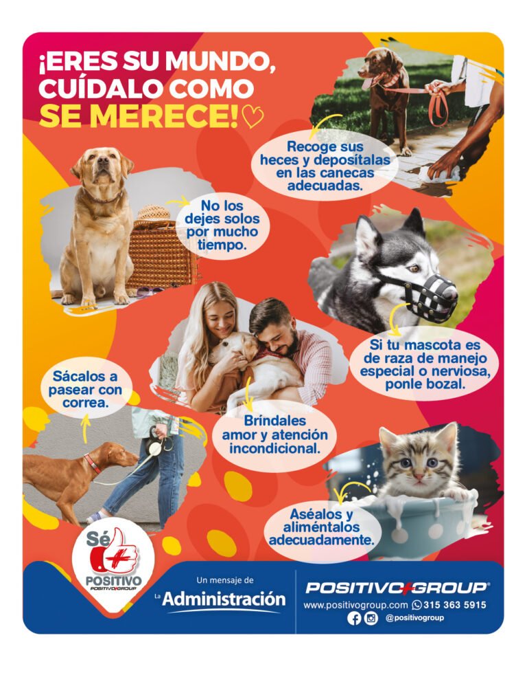 04. Cuidado de los Perros